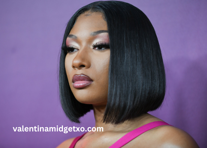 Megan the Stallion Net Worth