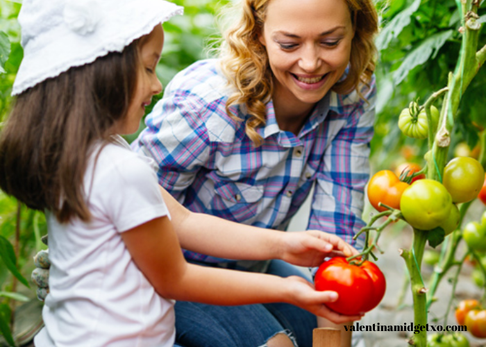 Sustainable Gardening