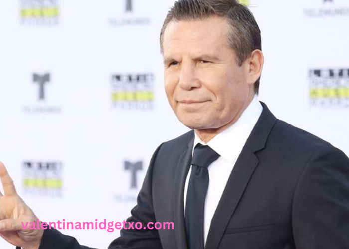 julio cesar chavez net worth